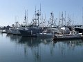 SAN-Downtown_3-2021 (20)